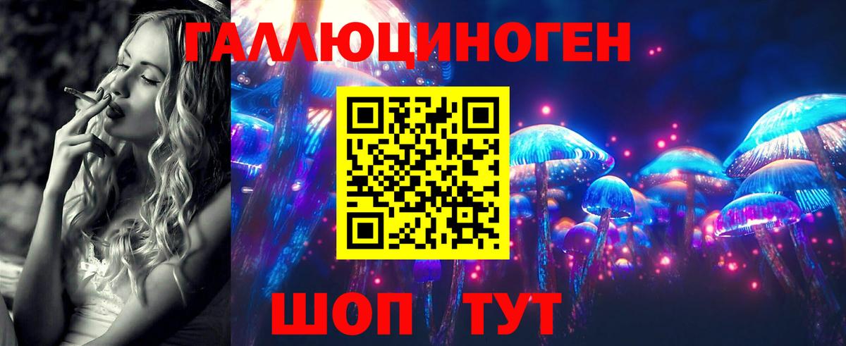 Псилоцибиновые грибы Psilocybine cubensis  Галлюциногенные грибы прущие грибы  Канаш  Вход с VPN 