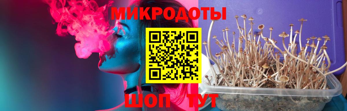 Галлюциногенные грибы мухоморы Канаш